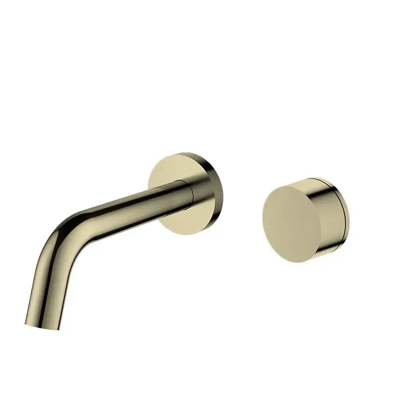 Anima Wall Spout Progressive Round Mixer Brass