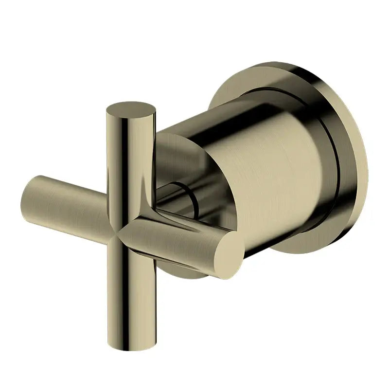 Anima Wall Progressive Mixer | Brushed Brass | Taffner Interiors