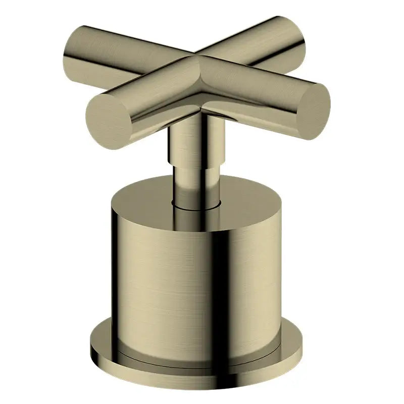 Anima Wall Progressive Mixer | Brushed Brass | Taffner Interiors